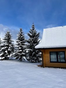 img 4009