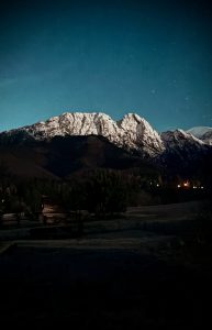 img 7499