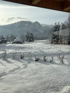 img 7892